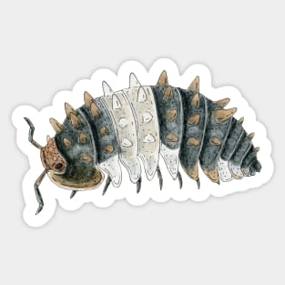 Isopoda sp. "Thai Spiky" Sticker